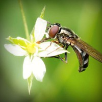 /album/napcocknarri1972/photolia-a02-jpg/