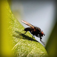 /album/napcocknarri1972/photolia-a04-jpg/