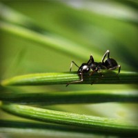 /album/napcocknarri1972/photolia-a05-jpg/