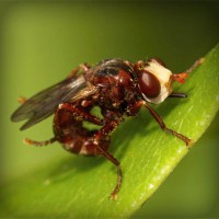 /album/napcocknarri1972/photolia-a06-jpg/