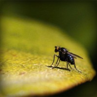 /album/napcocknarri1972/photolia-a07-jpg/