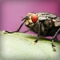 /album/napcocknarri1972/photolia-a08-jpg/